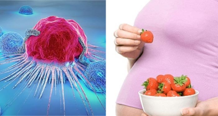 Mẹ bầu mang thai 3 tháng đầu ăn được dâu tây giúp ngăn ngừa ung thư