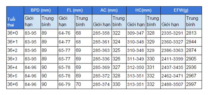 Các chỉ số thai nhi tuần thứ 36