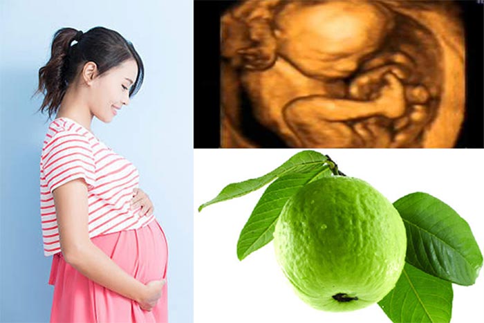 Ăn ổi trong 3 tháng đầu tiên của thai kỳ tốt cho cả mẹ và bé