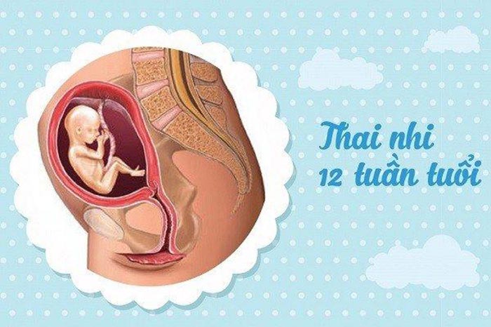 Thai nhi 12 tuần tuổi mẹ không nên thực hiện siêu âm 4D