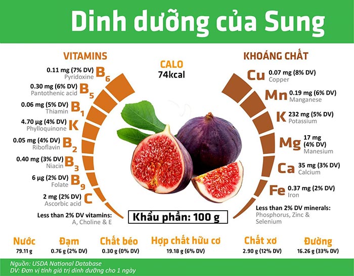 Sung có chứa nhiều chất dinh dưỡng tốt cho mẹ bầu 3 tháng đầu