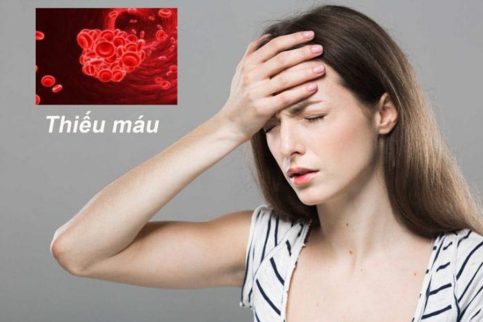 Sung chứa hàm lượng sắt dồi dào giúp phụ nữ mang thai 3 tháng đầu ngăn ngừa thiếu máu