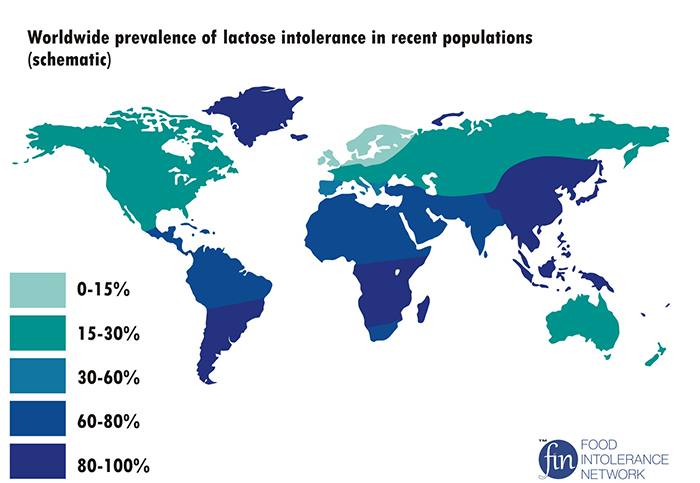 Người Châu Á, Châu Phi và Châu Mỹ latinh có tỷ lệ cao mắc chứng không dung nạp lactose.