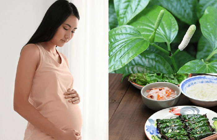 Lá lốt chứa nhiều dưỡng chất có lợi cho sức khỏe của mẹ bầu