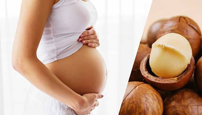 Hạt mắc ca giúp mẹ bầu bổ sung năng lượng, tăng cường hệ miễn dịch