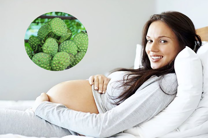 Hạt sen có tác dụng an thai, tốt cho bà bầu trong 3 tháng đầu thai kỳ