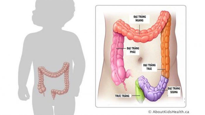 Bác sĩ sẽ thăm khám cho trẻ và chỉ định nội soi nếu cần