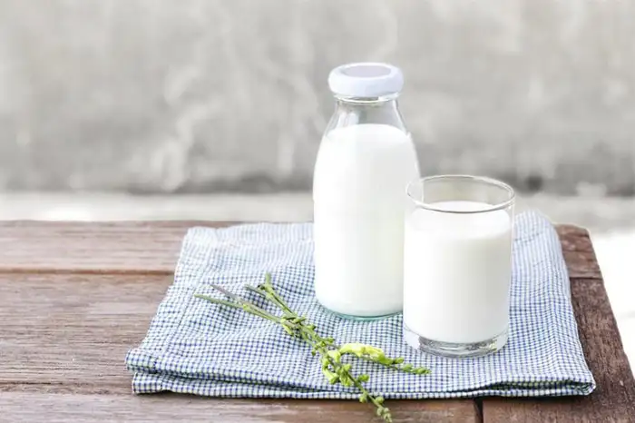Đau dạ dày nên uống sữa bởi các chế phẩm từ sữa như sữa chua giúp bổ sung lợi khuẩn probiotic