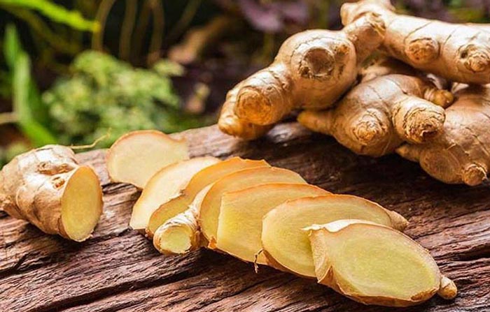 Hoạt chất Zingerone, Gingerol, Shogaol trong gừng có tác dụng điều hòa nhu động ruột, giảm nhanh các cơn đau dạ dày