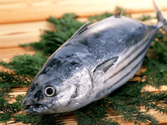 Bà bầu không nên ăn cá ngừ trong 3 tháng đầu thai kỳ để hạn chế phơi nhiễm thủy ngân