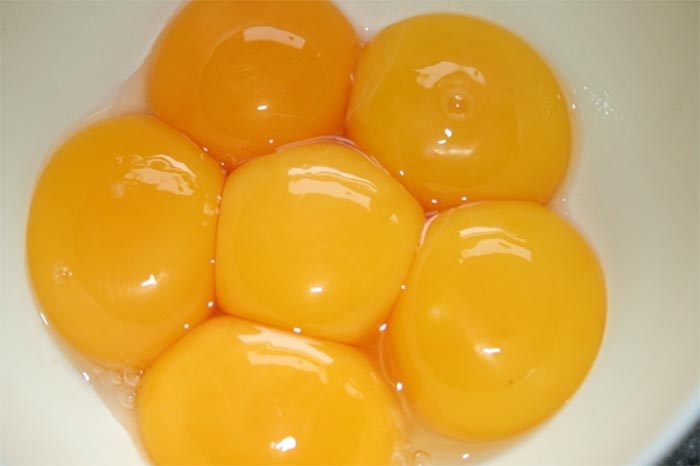 Lòng đỏ trứng gà chứa nhiều kháng thể IgY giúp giảm nguy cơ bị viêm loét dạ dày