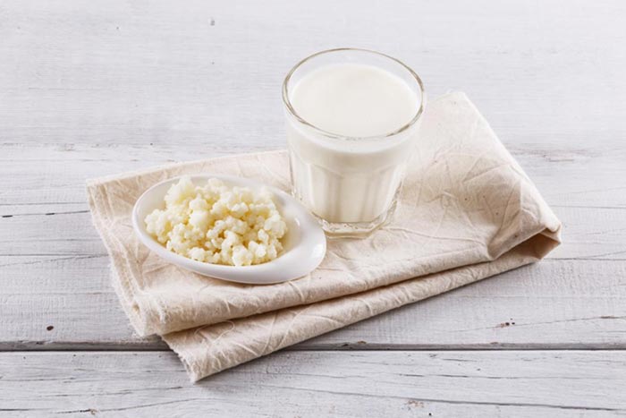 Ngoài sữa chua, người bệnh đau dạ dày có thể bổ sung loại thực phẩm giàu probiotic khác như nấm sữa