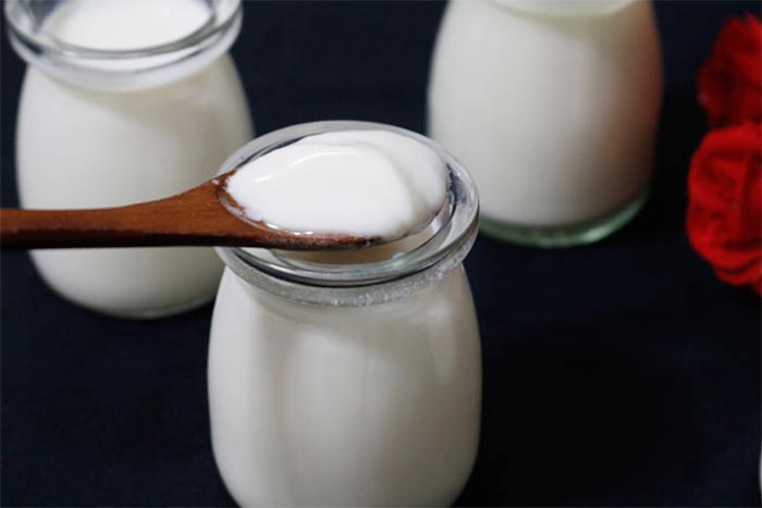 Người đau dạ dày có thể ăn sữa chua bình thường và sữa chua hỗ trợ rất tốt cho hệ tiêu hóa