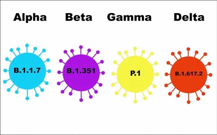 Biến chủng Delta là chủng virus SARS-CoV-2 xuất hiện sau Alpha, Beta, Gamma.