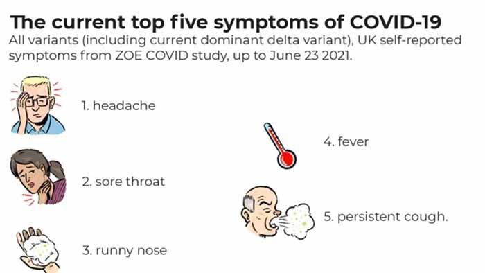 5 triệu chứng điển hình của Covid-19 theo các nghiên cứu của ZOE COVID Study.