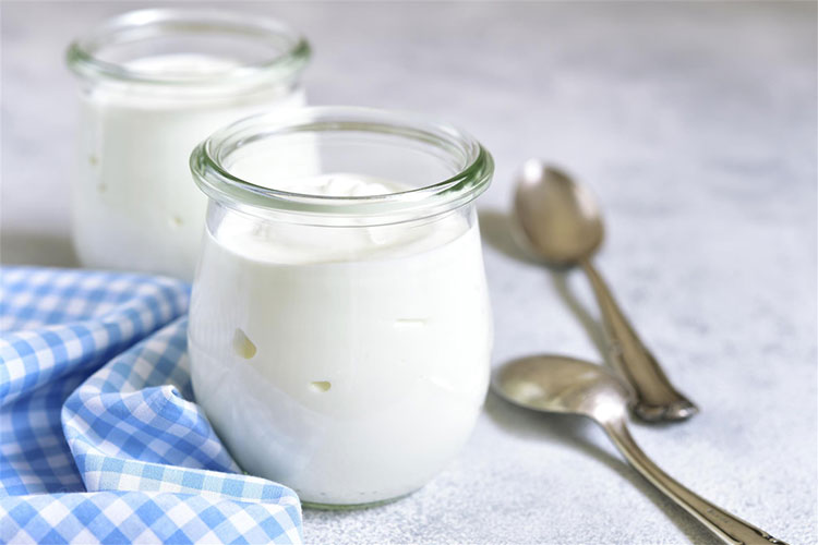 Các lợi khuẩn có trong sữa chua vừa có lợi cho hệ tiêu hóa vừa giúp tăng cường hệ miễn dịch