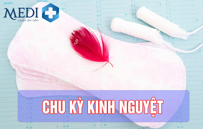 Mỗi chu kỳ kinh nguyệt ở chị em trung bình khoảng 25 ngày