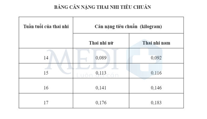 Bảng cân nặng tiêu chuẩn của thai nhi theo tuần tuổi chuẩn Quốc tế