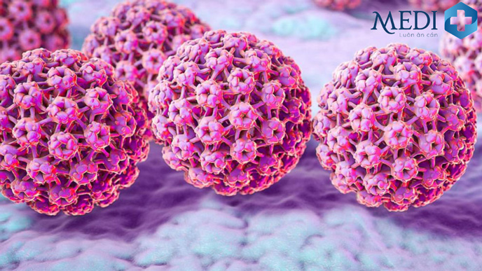 Virus HPV là nguyên nhân chính gây bệnh sùi mào gà