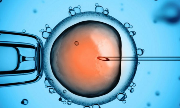 Thụ tinh trong ống nghiệm IVF là gì