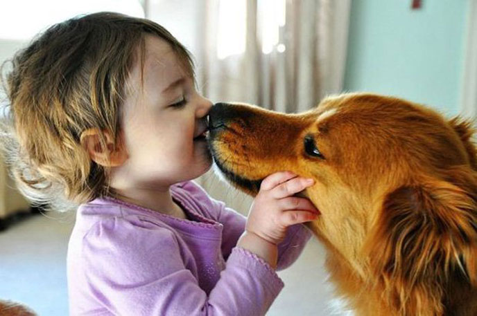 Tiếp xúc trực tiếp với thú cưng thường xuyên làm tăng nguy cơ nhiễm sán chó