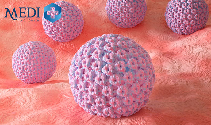 HPV là nguyên nhân gây ra bệnh sùi mào gà