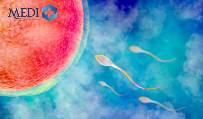 Tinh trùng yếu ảnh hưởng trực tiếp đến khả năng thụ thai