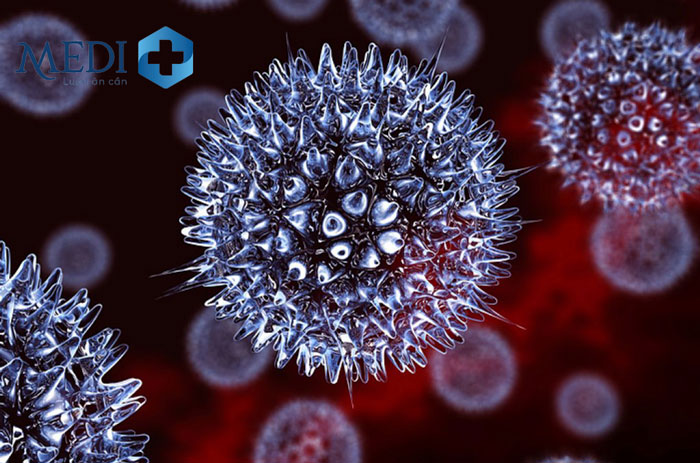 Hình ảnh virus HSV gây mụn rộp sinh dục nam phổ biến