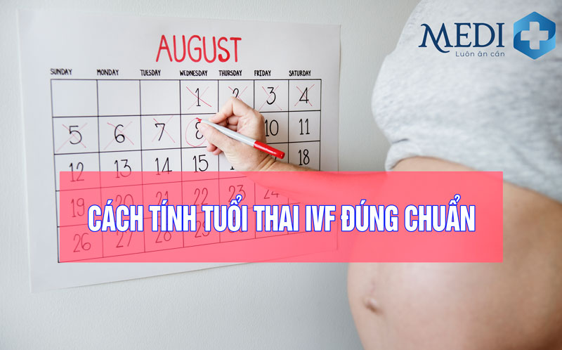 Hướng dẫn cách tính tuổi thai IVF đúng chuẩn nhất