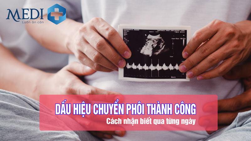 Bí quyết nhận biết dấu hiệu chuyển phôi thành công một cách chính xác