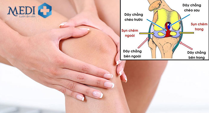 Cấu trúc gồm 4 loại dây chằng đầu gối giúp ổn định phần sụn và di chuyển