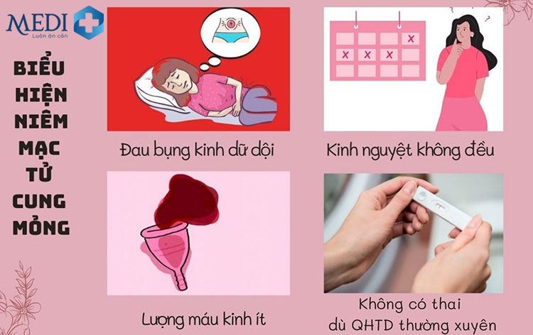 Dấu hiệu cảnh báo niêm mạc tử cung mỏng