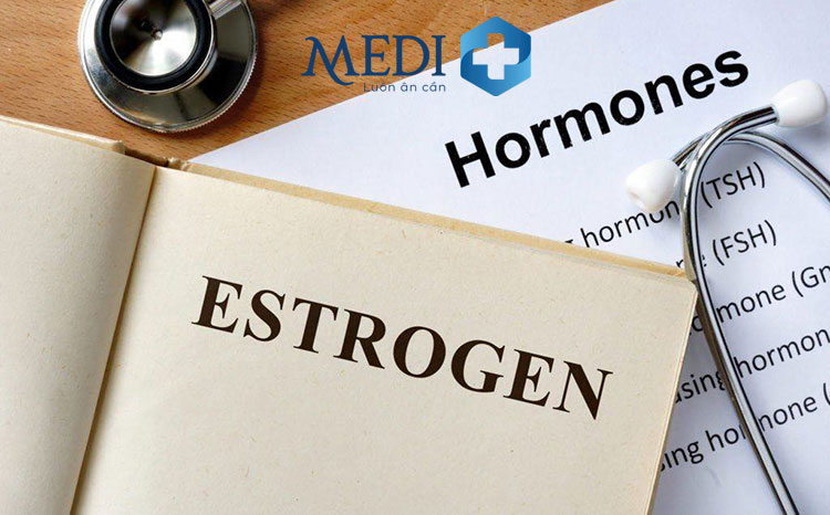 Nồng độ estrogen cũng ảnh hưởng đến độ dày mỏng của tử cung