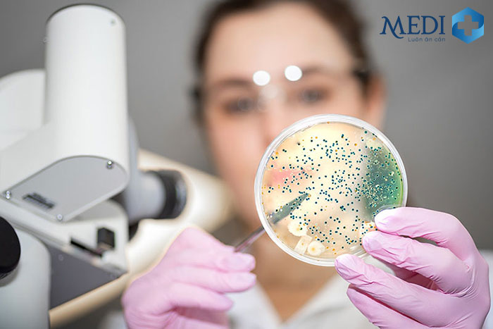 Làm tiêu bản nhuộm gram soi kính hiển vi, nuôi cấy, phân lập vi khuẩn chẩn đoán chính xác bệnh lậu