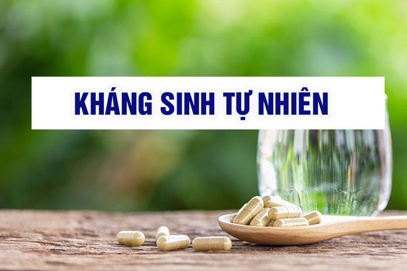 Top 10 loại kháng sinh tự nhiên ngay trong tủ bếp [Khám phá]