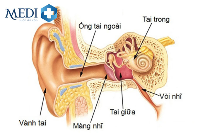 Vị trí viêm tai giữa