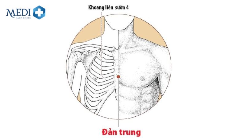 Hướng dẫn cách bấm huyệt làm giảm nhịp tim