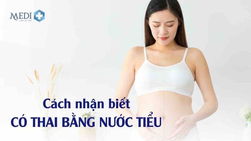 Cách nhận biết có thai bằng nước tiểu nhanh chóng, chính xác