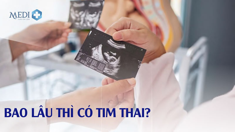 Bao lâu thì có tim thai? Cần làm gì để con khỏe mạnh