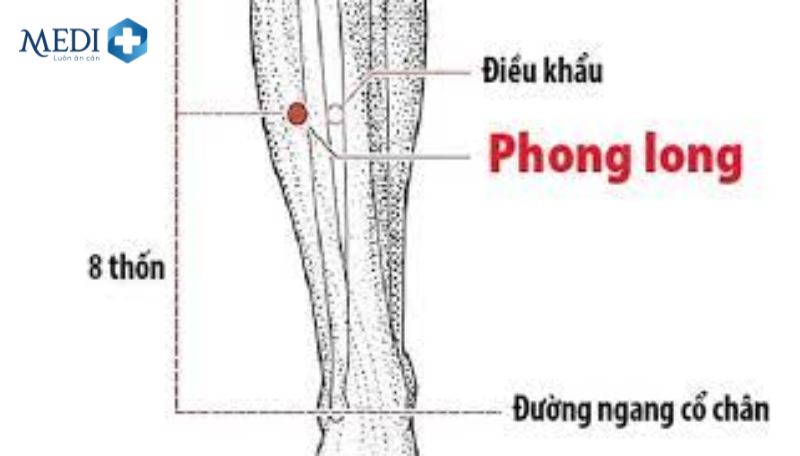 Huyệt Phong Long có tác dụng gì? Vị trí và cách bấm huyệt