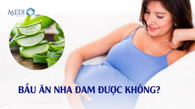 Bầu ăn nha đam được không? – Lời khuyên từ chuyên gia