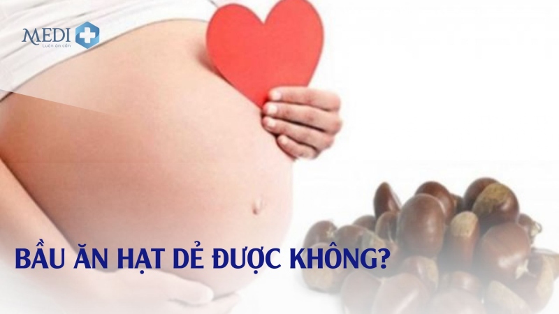 Bầu ăn hạt dẻ được không? Có tốt cho thai nhi không?