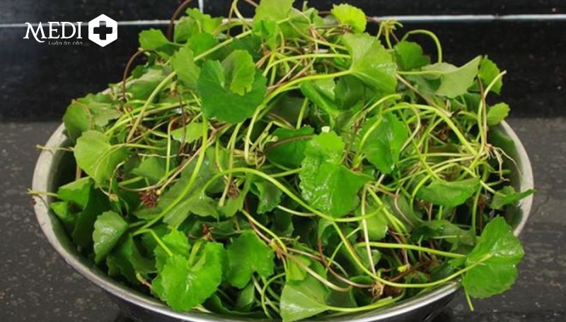 Bầu ăn rau má được không?