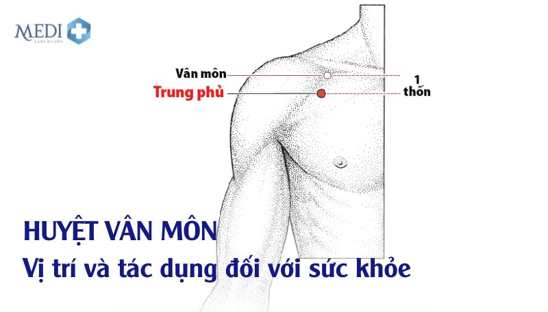 Huyệt vân môn: Vị trí và những tác dụng tuyệt vời cho sức khỏe