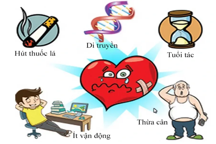 Các yếu tố nguy cơ dẫn đến bệnh lý tim mạch