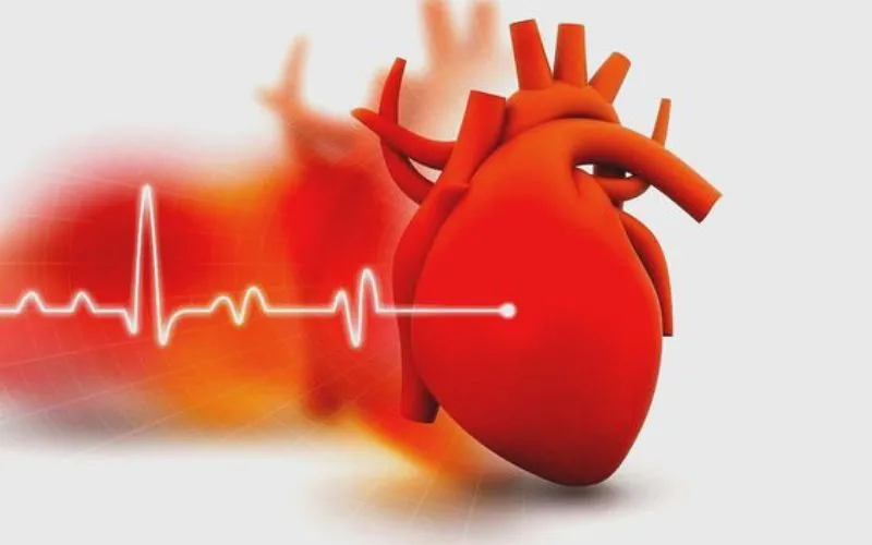 Bệnh lý về tim mạch gây ảnh hưởng đến tim và mạch máu 