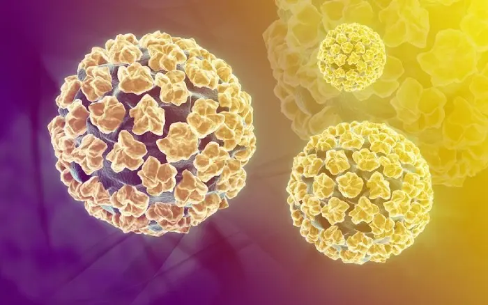 Tìm hiểu về virus HPV