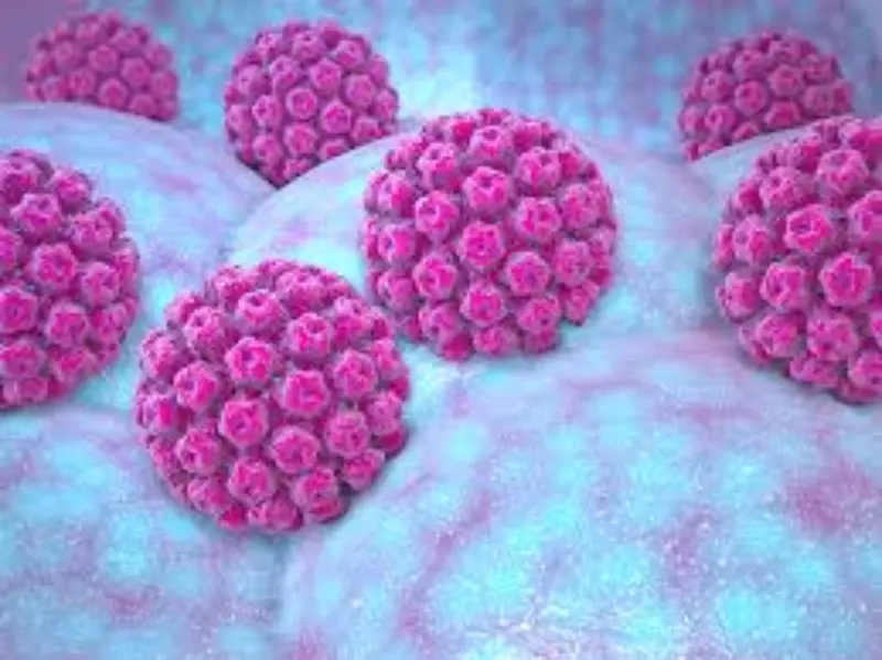 Virus HPV là một loại virus lây qua đường tình dục