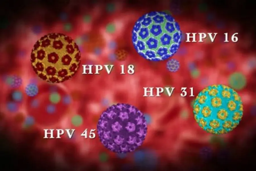 Các chủng HPV gây bệnh phổ biến