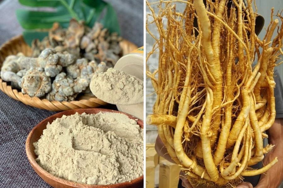 U tuyến giáp uống tam thất rất tốt, hỗ trợ cải thiện bệnh nhanh chóng